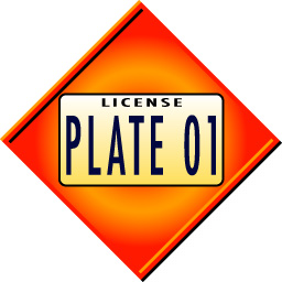 Lost - Stolen Plate