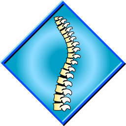 Spinal or Neck Injury